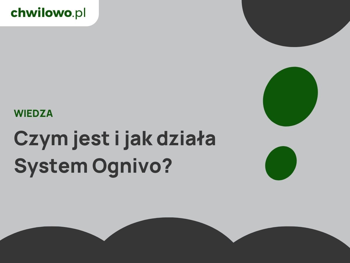 System Ogniwo: Czym jest i jak działa?